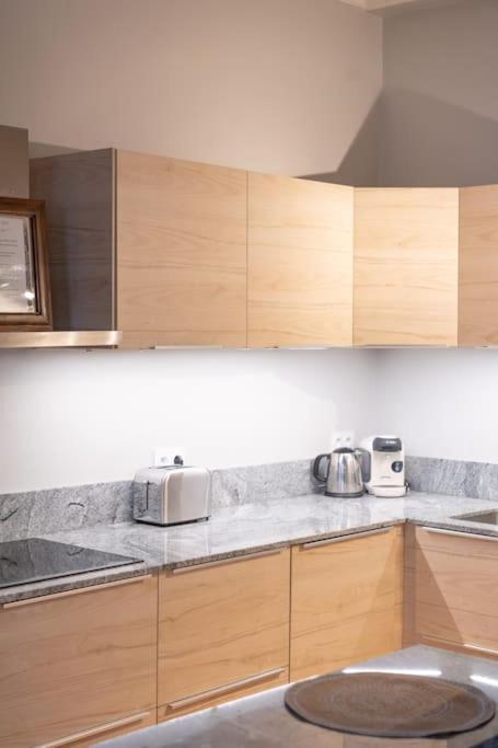 Spacieux Loft Apartment